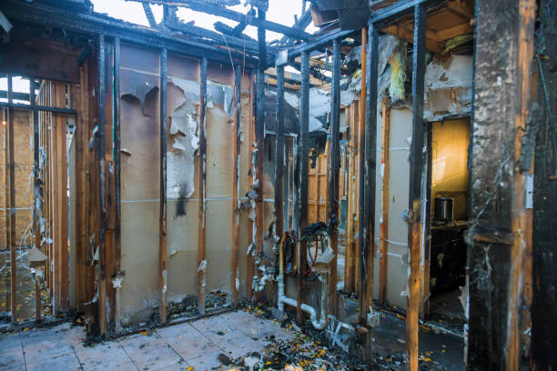 Professional Fire Damage Removal technician working in Clearwater, MN