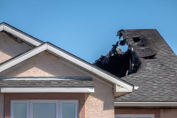 Top rated local Fire Damage Removal specialists in Clearwater, MN